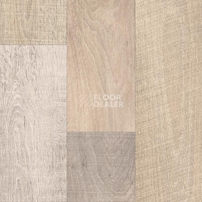 Линолеум IVC Bingo Chavin 507 фото 1 | FLOORDEALER